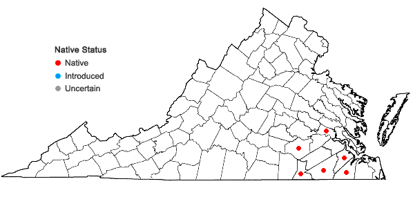 Locations ofBrachelyma subulatum (P. Beauv.) Cardot in Virginia