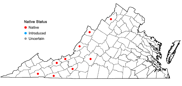 Locations ofBrachyelytrum aristosum (Michx.) Trel. in Banner & Coville in Virginia