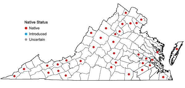 Locations ofBrachythecium acuminatum (Hedw.) Austin in Virginia