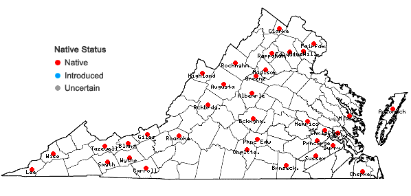 Locations ofBrachythecium acuminatum (Hedw.) Austin in Virginia