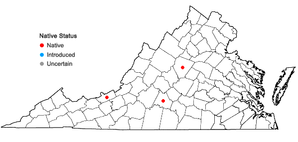 Locations ofBrachythecium acutum (Mitt.) Sull. in Virginia