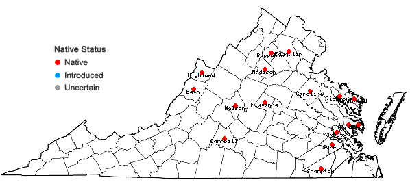 Locations ofBrachythecium campestre (Müll. Hal.) Schimp. in Virginia