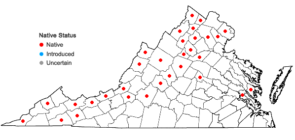 Locations ofBrachythecium rivulare Schimper in Virginia