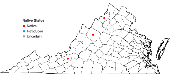 Locations ofBrachythecium rotaeanum de Not. in Virginia