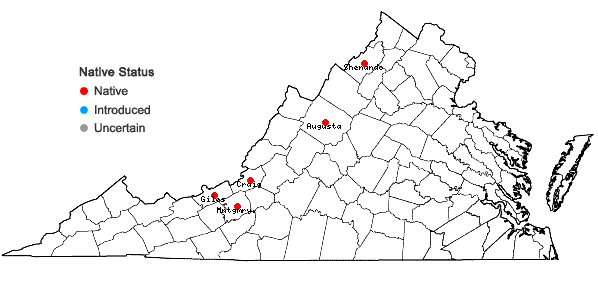 Locations ofBrachythecium rotaeanum de Not. in Virginia