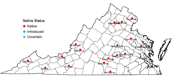 Locations ofBrachythecium rutabulum (Hedw.) Schimp. in Virginia