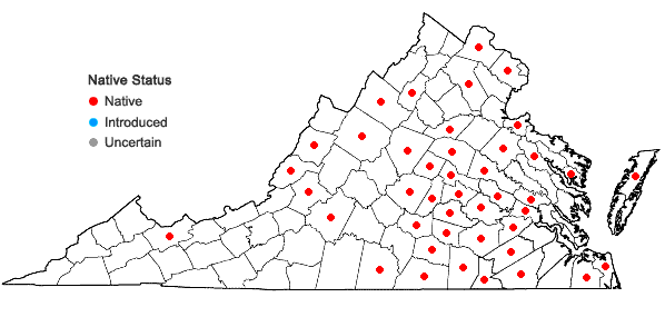 Locations ofBrasenia schreberi J. F. Gmel. in Virginia