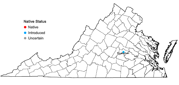 Locations ofBrassica napus Linnaeus in Virginia