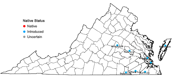 Locations ofBriza minor L. in Virginia