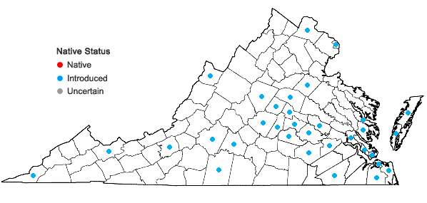 Locations ofBromus catharticus Vahl var. catharticus in Virginia