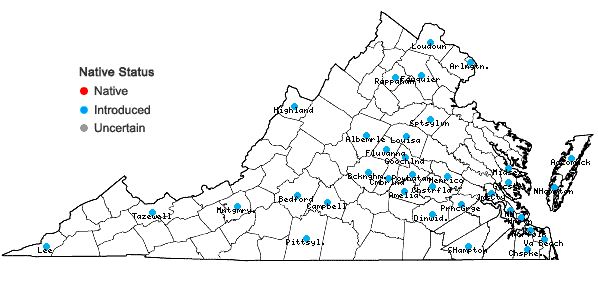 Locations ofBromus catharticus Vahl var. catharticus in Virginia