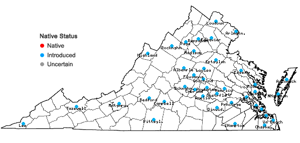Locations ofBromus catharticus Vahl var. catharticus in Virginia