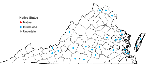 Locations ofBromus hordeaceus L. ssp. hordeaceus in Virginia
