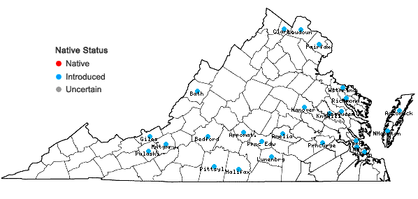 Locations ofBromus hordeaceus L. ssp. hordeaceus in Virginia