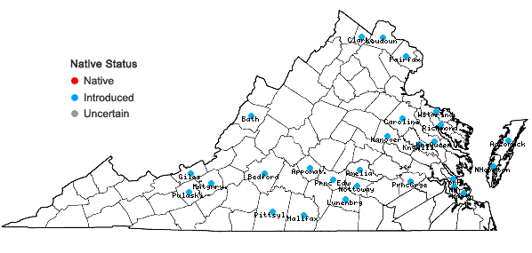 Locations ofBromus hordeaceus L. ssp. hordeaceus in Virginia