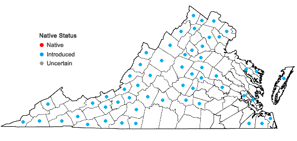 Locations ofBromus inermis Leyss. in Virginia