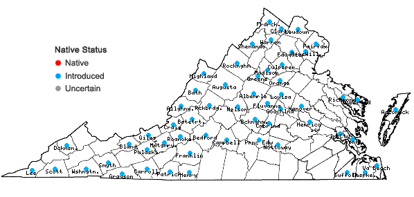 Locations ofBromus inermis Leyss. in Virginia