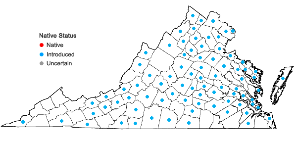 Locations ofBromus japonicus Thunb. ex Murr. in Virginia