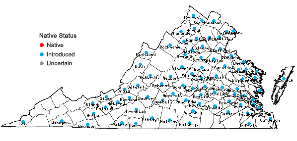 Locations ofBromus japonicus Thunb. ex Murr. in Virginia