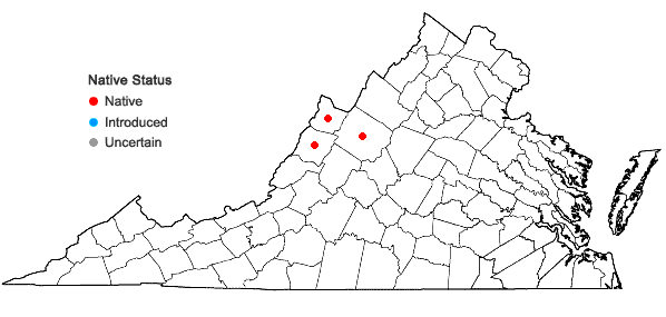 Locations ofBromus kalmii Gray in Virginia