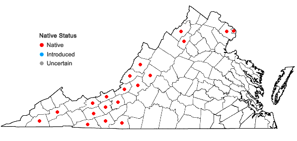 Locations ofBromus latiglumis (Shear) A.S. Hitchc. in Virginia