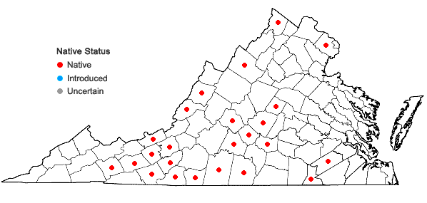 Locations ofBromus nottowayanus Fern. in Virginia