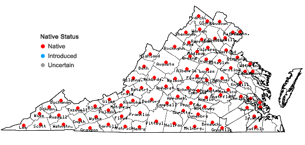 Locations ofBromus pubescens Sprengel in Virginia