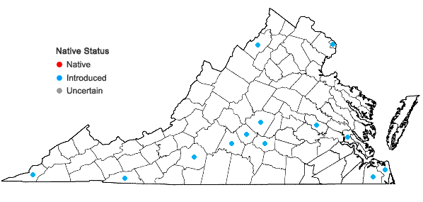 Locations ofBromus secalinus L. in Virginia