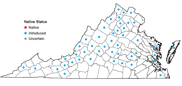 Locations ofBromus sterilis L. in Virginia