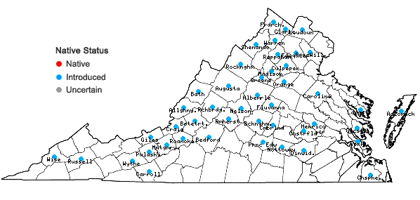 Locations ofBromus sterilis L. in Virginia