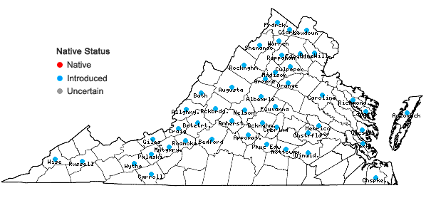 Locations ofBromus sterilis L. in Virginia