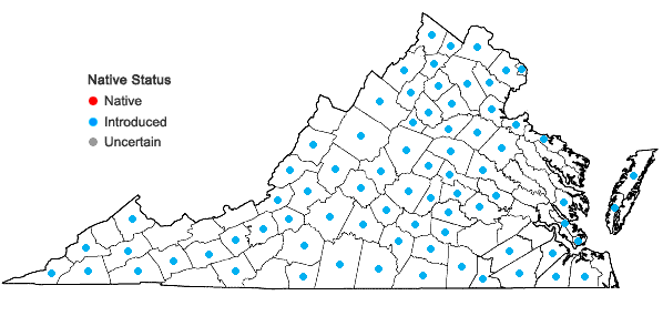 Locations ofBromus tectorum L. in Virginia