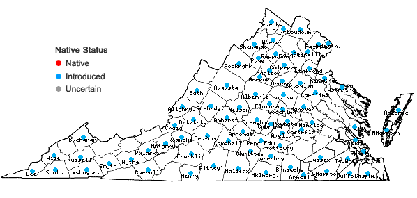 Locations ofBromus tectorum L. in Virginia