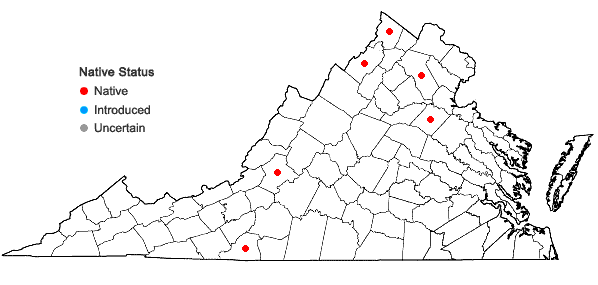 Locations ofBrothera leana (Sull.) Müll. Hal. in Virginia