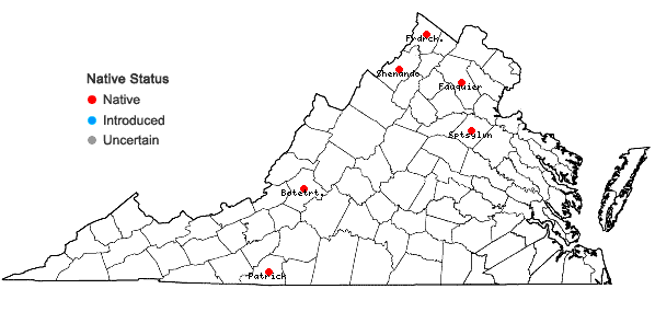 Locations ofBrothera leana (Sull.) Müll. Hal. in Virginia