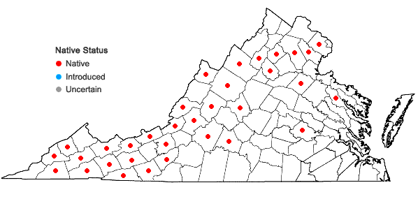 Locations ofBrotherella recurvans (Michx.) M. Fleisch. in Virginia