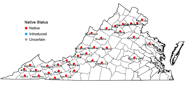 Locations ofBrotherella recurvans (Michx.) M. Fleisch. in Virginia