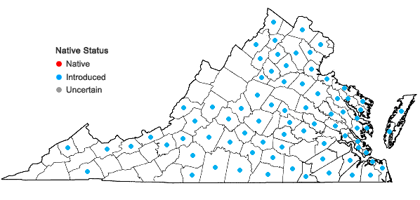 Locations ofBroussonetia papyrifera (L.) L'Her. ex Vent. in Virginia