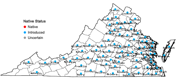 Locations ofBroussonetia papyrifera (L.) L'Her. ex Vent. in Virginia