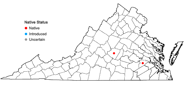 Locations ofBruchia drummondii Hampe ex E. Britton in Virginia