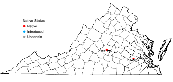 Locations ofBruchia drummondii Hampe ex E. Britton in Virginia