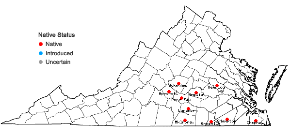 Locations ofBruchia flexuosa (Schwägr.) Müll. Hal in Virginia