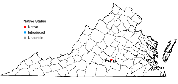 Locations ofBruchia texana Austin in Virginia