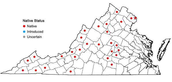 Locations ofBryhnia graminicolor (Brid.) Grout in Virginia