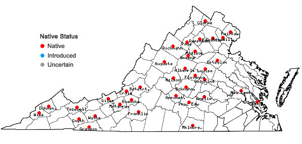 Locations ofBryhnia novae-angliae (Sull. & Lesq.) Grout in Virginia