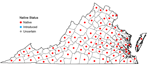 Locations ofBryoandersonia illecebra (Hedw.) H. Rob. in Virginia