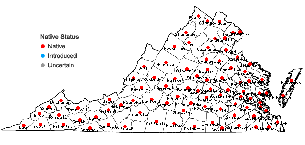 Locations ofBryoandersonia illecebra (Hedw.) H. Rob. in Virginia