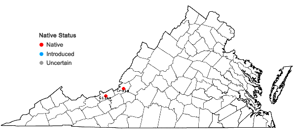 Locations ofBryoerythrophyllum ferruginascens (Stirt.) Giacom. in Virginia