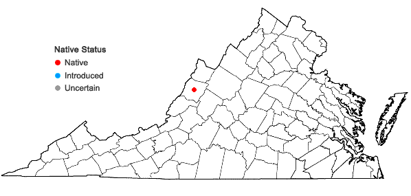 Locations ofBryoerythrophyllum recurvirostrum (Hedw.) P. C. Chen in Virginia