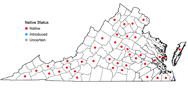 Locations ofBryum argenteum Hedwig var. argenteum in Virginia